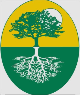 Regenesys Business School logo